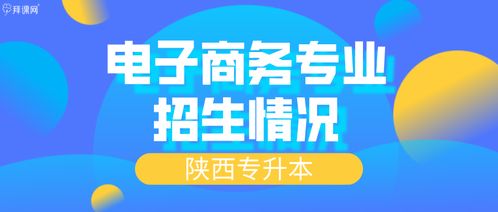 哪些岗位招电子商务专业